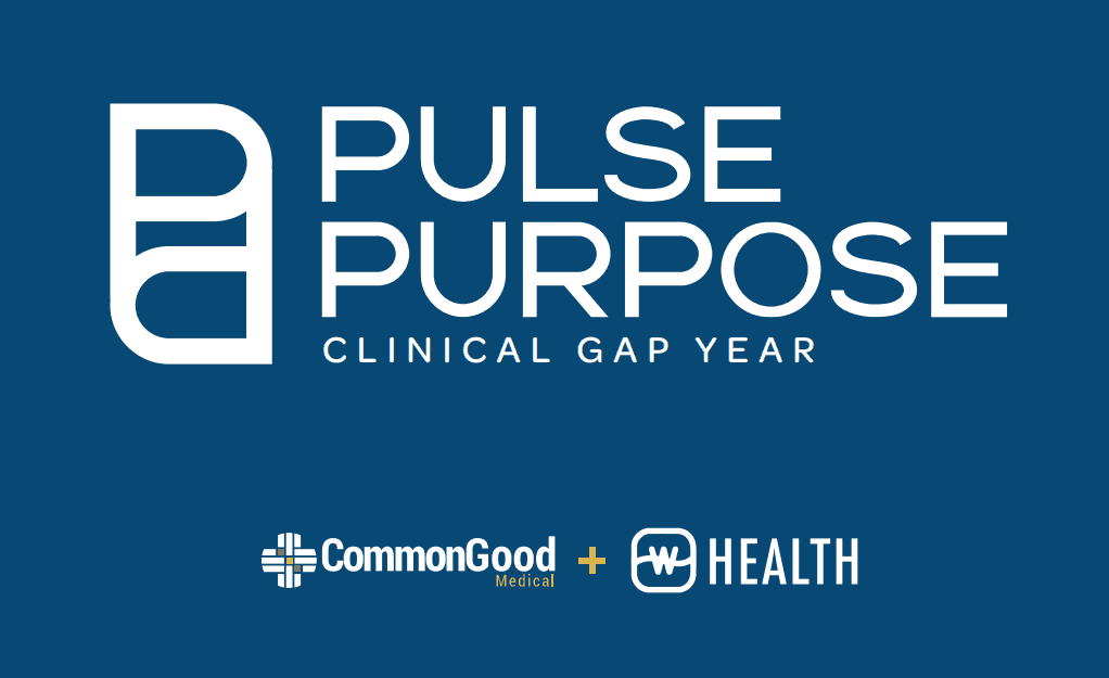 Pulse and Purpose gap year internship